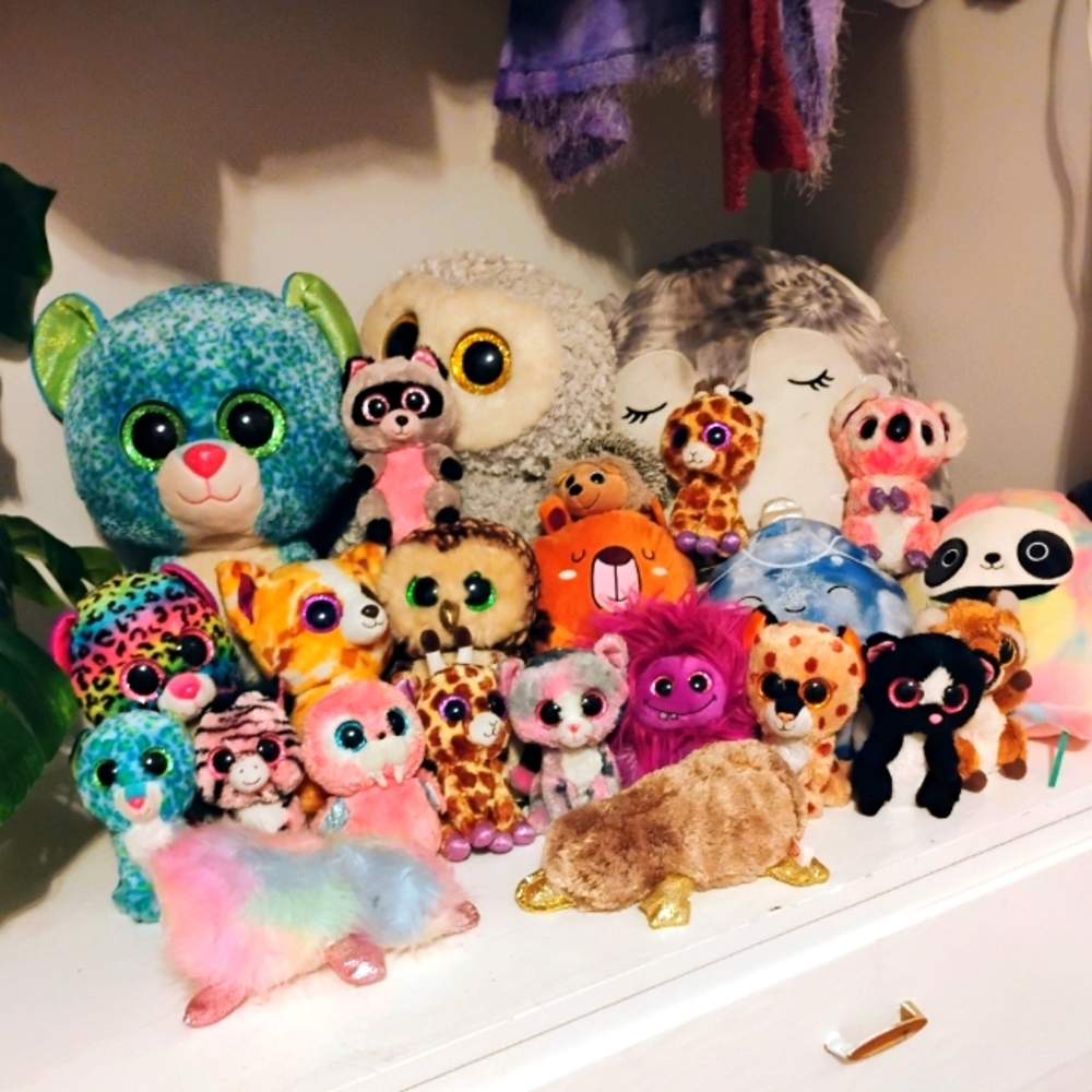 Bundle of plushies and beanie boos